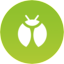 bug-Type Icon